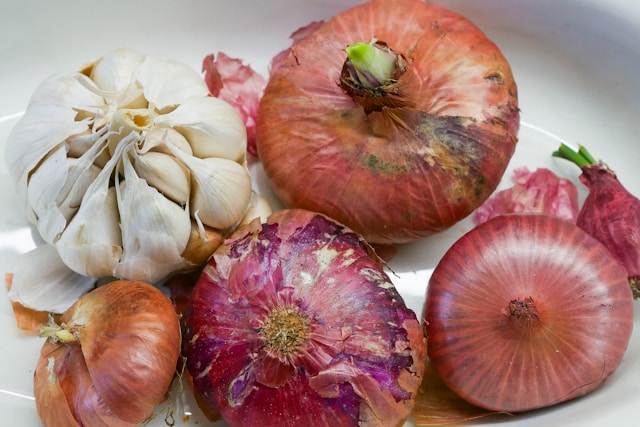 5-foods-that-are-harmful-to-your-dog