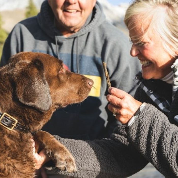 5-foods-that-are-harmful-to-your-dog